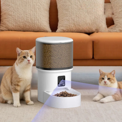 Distributeur automatique de croquettes pour chat - SereniFeed