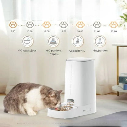 Distributeur automatique pour chat -Auto Pet Feeder