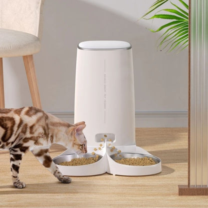 Chat mangeant dans le distributeur automatique de croquettes pour 2 chats avec double bol