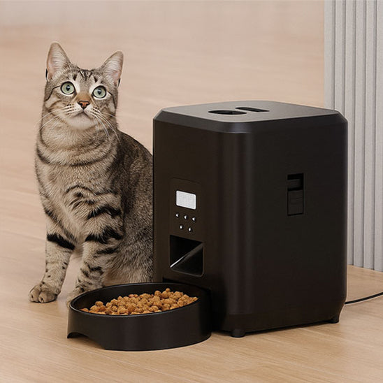 Distributeur de croquettes pour chat automatique - Smart Feed