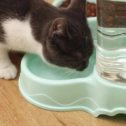 distributeur-eau-pour-chat
