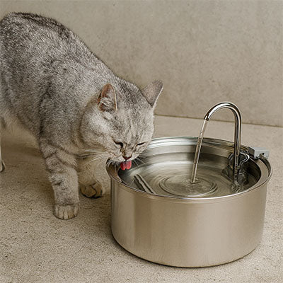 FONTAINE A EAU CHAT- AUTOMATIQUE EN ACIER (3L)