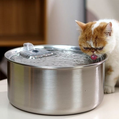 fontaine-a-eau-chat-acier-inoxidable