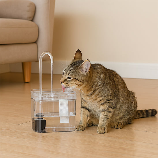Fontaine à eau pour chat avec robinet transparent et eau en mouvement