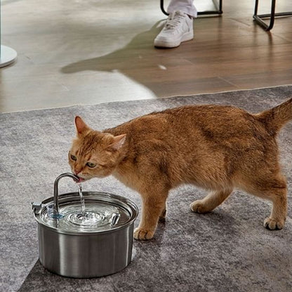 fontaine-a-eau-chat-automatique