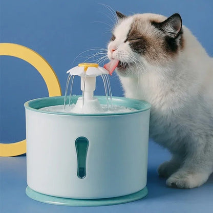fontaine-a-eau-chat-avec-fenetre-de-niveau