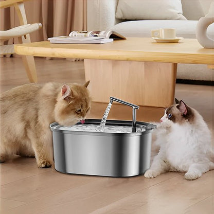 Deux chats buvant dans une fontaine à eau chat inox – Parfait pour foyers multi-chats.