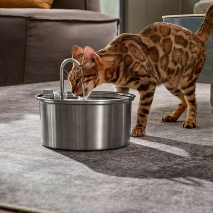 fontaine-a-eau-chat-avec-robinet