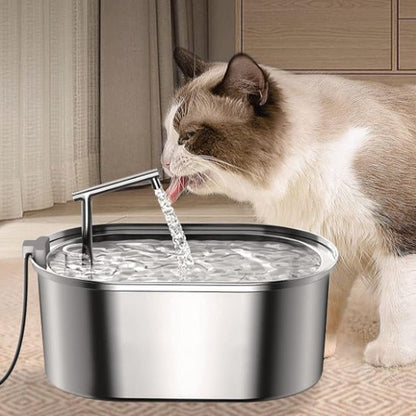 Un chat qui boit d'une Fontaine à eau chat inox avec robinet.