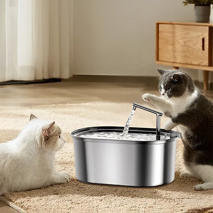 Chat jouant avec une fontaine à eau chat inox qui encourage l'hydratation grâce à son design robinet.