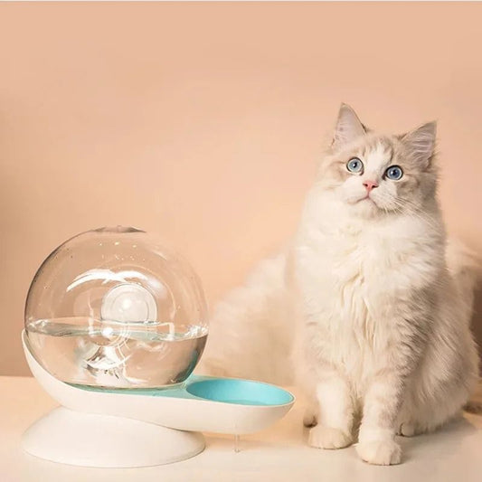 Fontaine à eau chat sans électricité - Design Escargot
