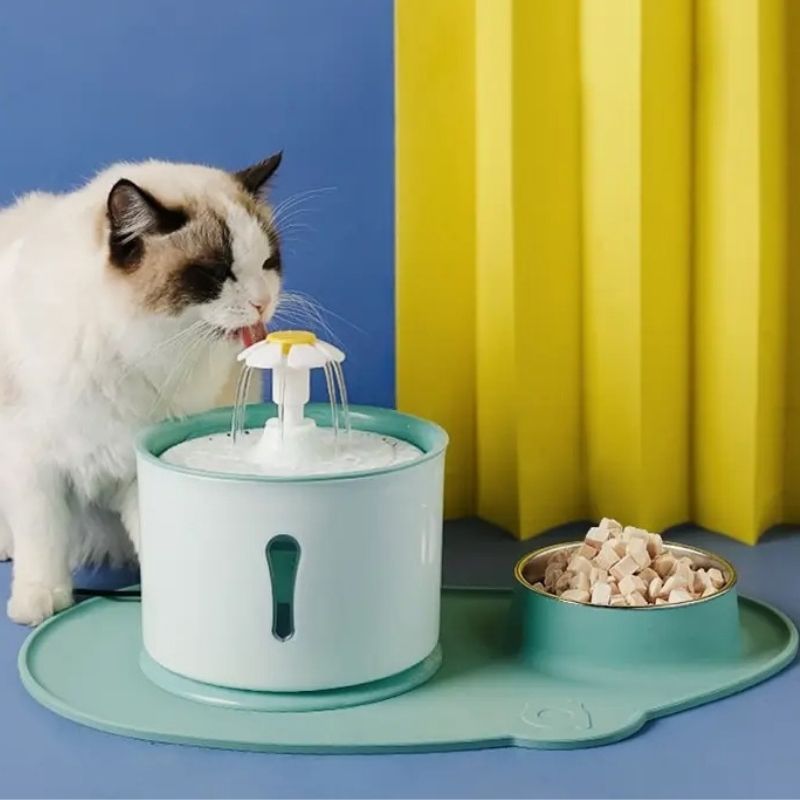 fontaine-a-eau-chat