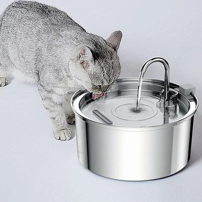 fontaine-a-eau-chat