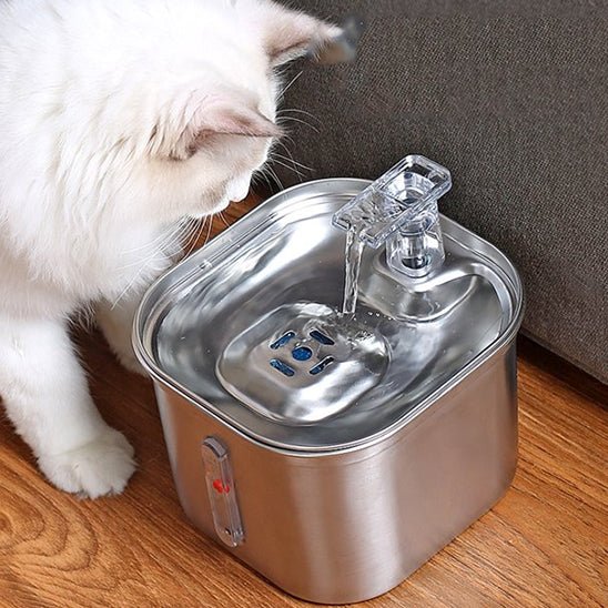 Chat blanc explorant une fontaine à eau pour chat en acier inoxydable.