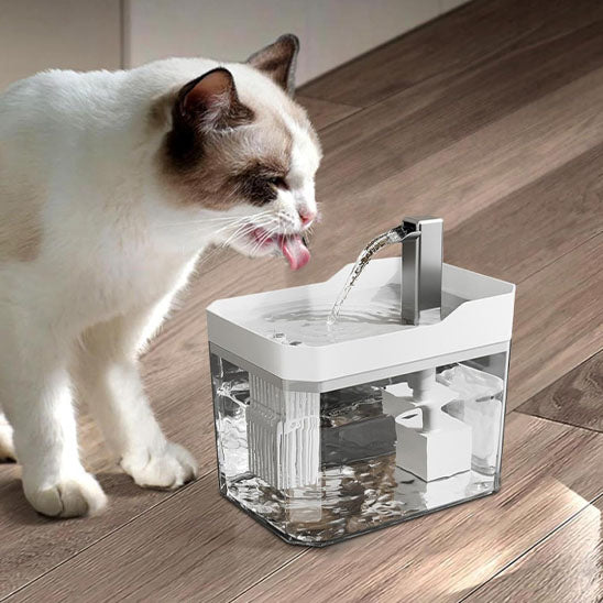 Chat blanc buvant d'une fontaine à eau transparente avec couvercle blanc et robinet