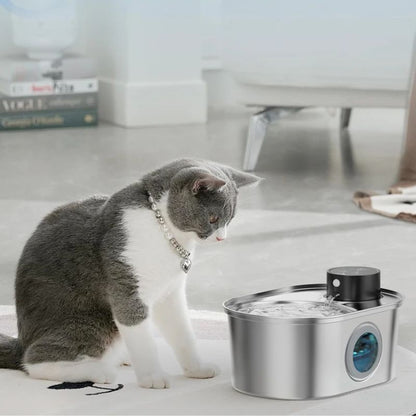 fontaine-a-eau-pour-chat-automatique-avec-capteur