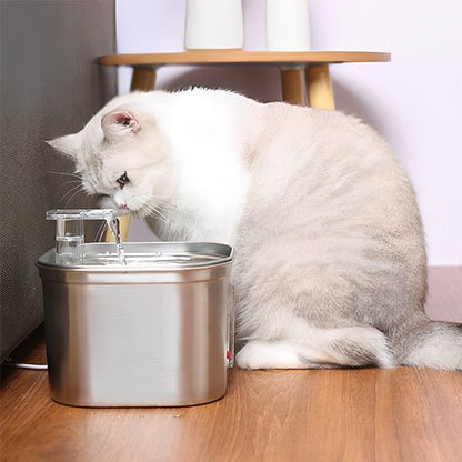 Chat blanc observant une fontaine à eau pour chat en inox posée à côté d'une table en bois.