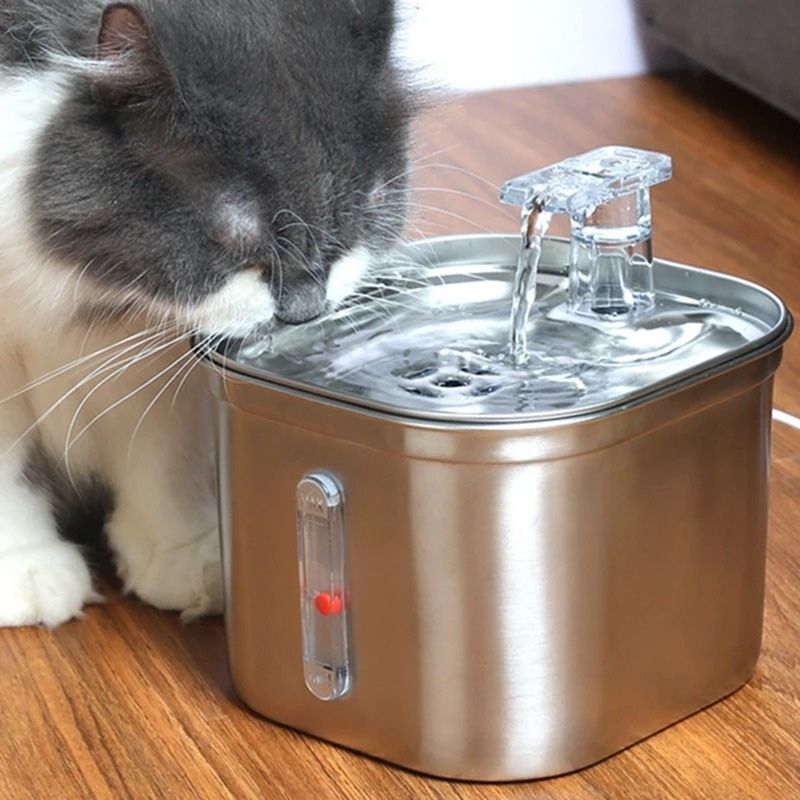 fontaine-a-eau-pour-chat-avec-robinet