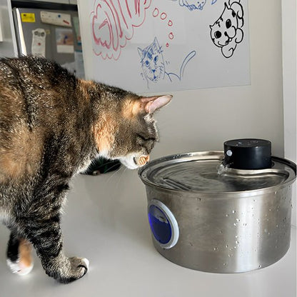 FONTAINE À EAU POUR CHAT - AUTOMATIQUE AVEC CAPTEUR (3,2L)