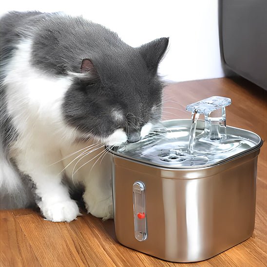 Fontaine à eau pour chat avec capteur de mouvement économique et ludique