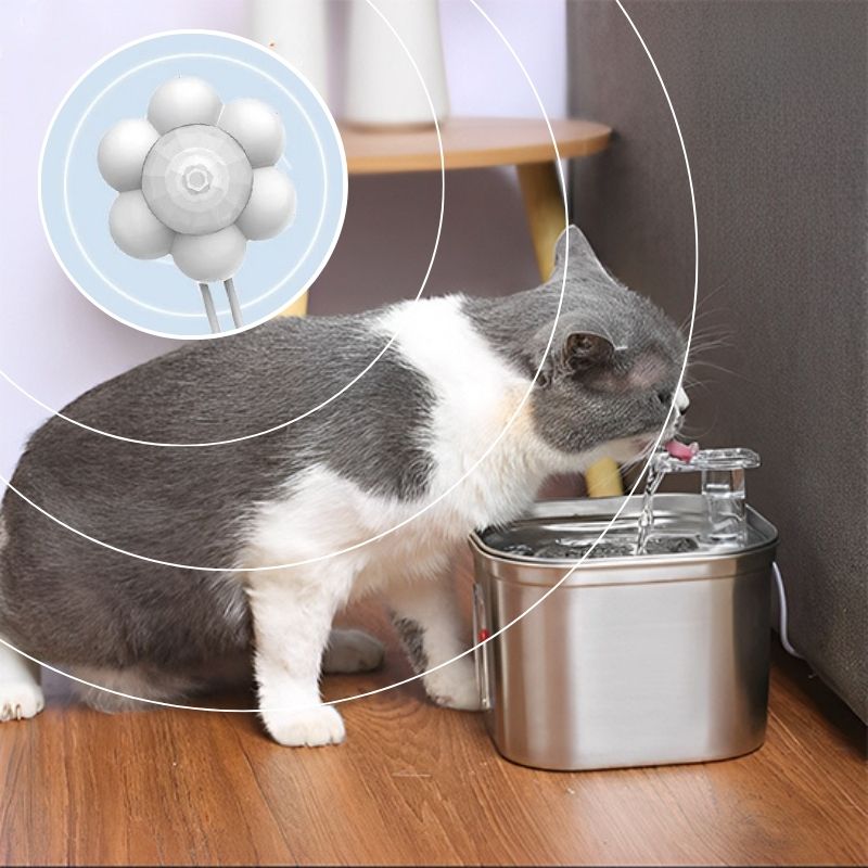 Chat gris et blanc buvant dans une fontaine à eau pour chat en acier inoxydable