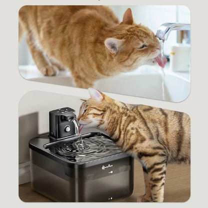 Fontaine à eau pour chat | Intelligente et Sans fil