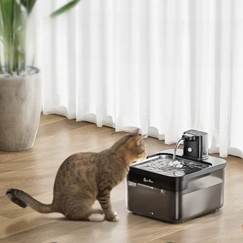Fontaine à eau pour chat | Intelligente et Sans fil