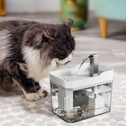 Chat regardant l'eau qui coule d'une fontaine à eau transparente avec couvercle blanc et robinet
