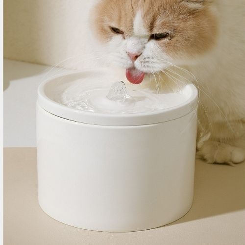 Fontaines à eau en Céramique Ultra Silencieuse 1L - OPure