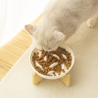 Gamelle anti glouton chat | Anti-vomissement