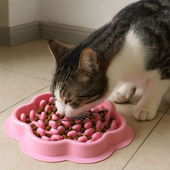 Gamelle anti-glouton chat - SlowFeast
