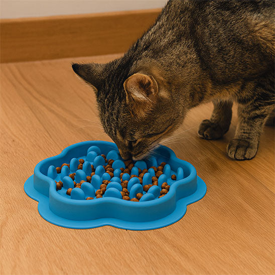 Gamelle anti-glouton chat - SlowFeast
