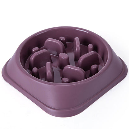 gamelle-anti-glouton-chat-violet