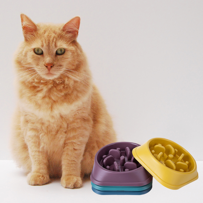 gamelle-anti-glouton-chat