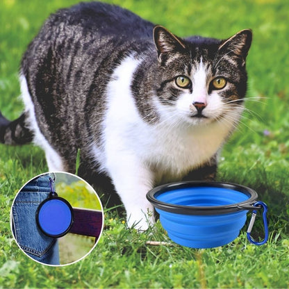 Gamelle chat - Portable pour sorties et voyages