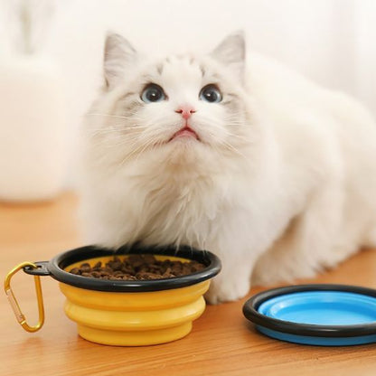 Gamelle chat - Portable pour sorties et voyages