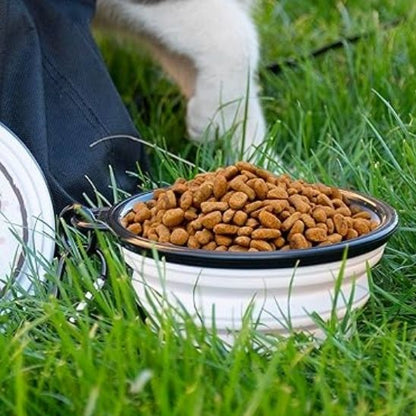 Gamelle chat - Portable pour sorties et voyages