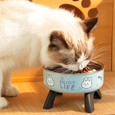 Chat mangeant dans une gamelle chat surélevée bleue, conçue pour améliorer le confort, la digestion et le bien-être.