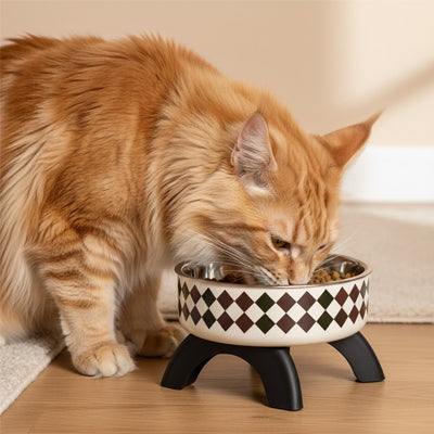 Chat roux mangeant dans une gamelle chat surélevée au design noir et blanc, favorisant une posture confortable et une meilleure digestion.