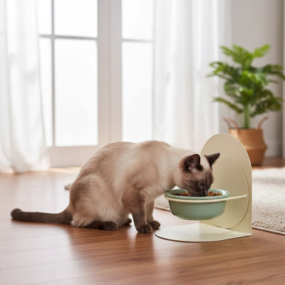 Chat utilisant une gamelle chat anti-projection posée au sol, conçue pour limiter les débordements pendant les repas.
