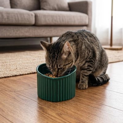 Gamelle Chat surélevée en céramique couleur vert