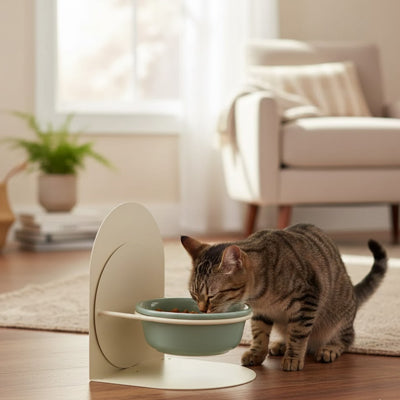 Chat tigré mangeant dans une gamelle chat surélevée et ergonomique favorisant un repas agréable.