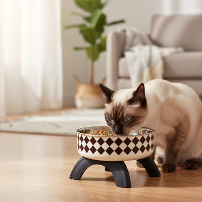 Chat mangeant calmement dans une gamelle chat surélevée design en damier, parfaite pour un repas confortable et sans stress.
