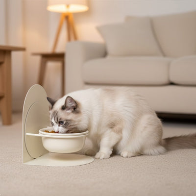 Chat blanc dégustant son repas dans une gamelle chat surélevée