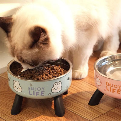 Chat mangeant dans une gamelle chat surélevée bleue, conçue pour améliorer le confort, la digestion et le bien-être.