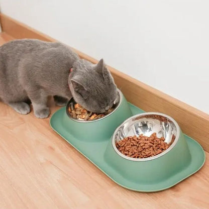 Chat gris mangeant dans une gamelle double avec un design ergonomique et un plateau en plastique vert.