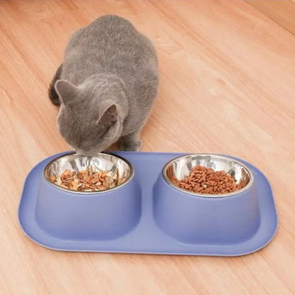 Chat gris dégustant des croquettes dans une gamelle inclinée anti-renversement bleue.