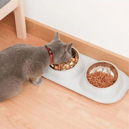 Chat mangeant dans une gamelle double inclinée, bols remplis de nourriture.