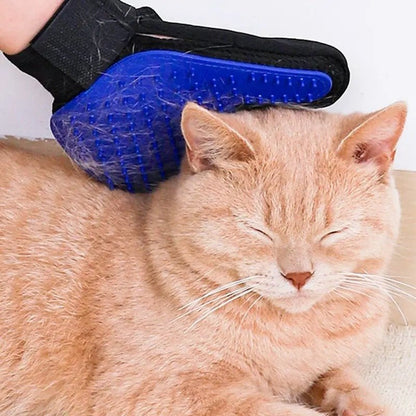 Gant de toilettage