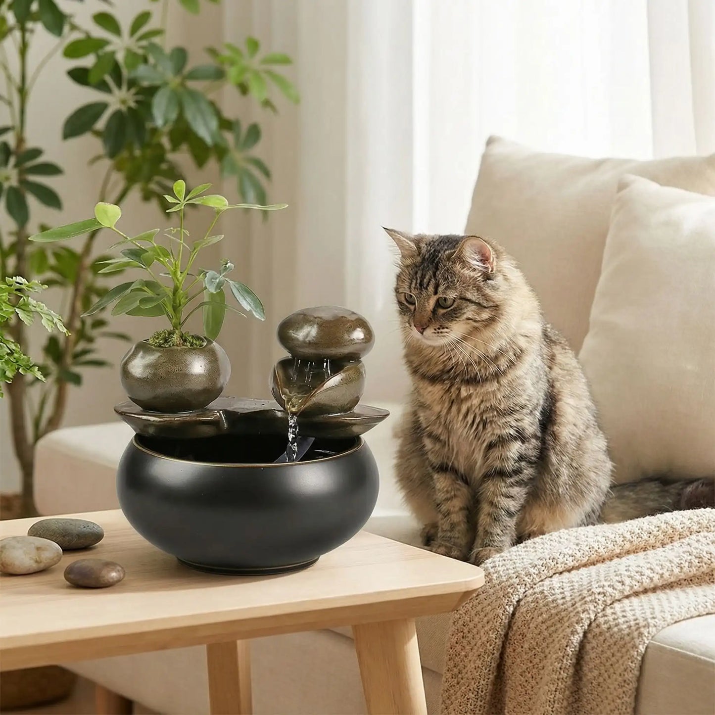 Fontaines à eau chat en Céramique - DecoZen